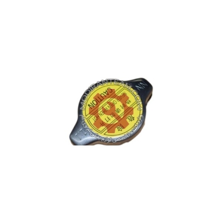 درب رادیاتور تیگو 8