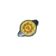درب رادیاتور تیگو 8