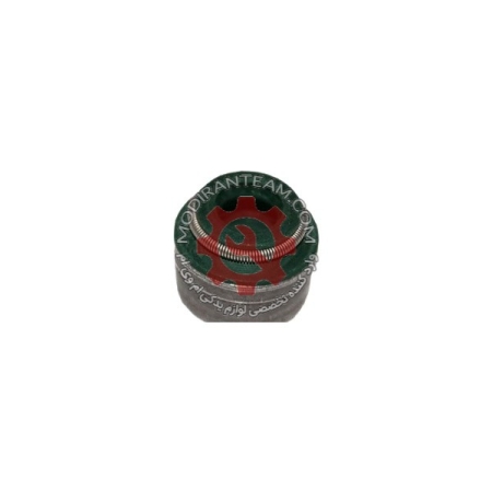 لاستیک ساق سوپاپ تیگو 8