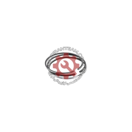 رینگ موتور فونیکس FX