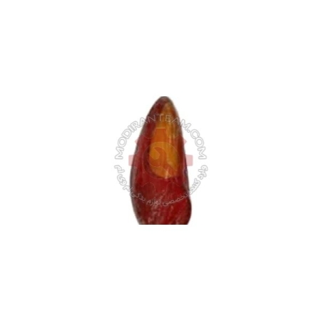 طلق چراغ عقب چپ ام وی ام 110 اس